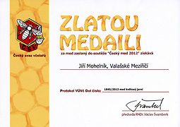 Med květový jarní - Český med 2012